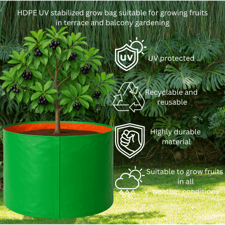 Large plant bags for urban gardening