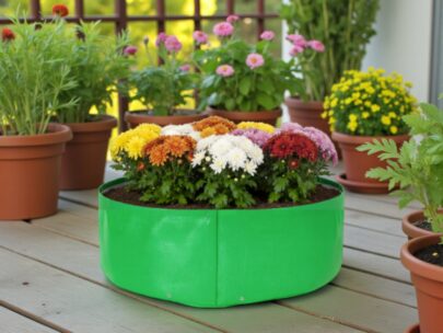 HDPE Round | Circular Grow Bag 24x06 Inch | 340GSM