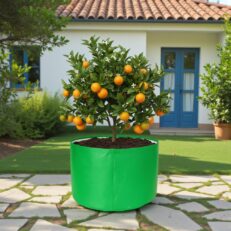 HDPE Round | Circular Grow Bag 24x15 Inch | 340GSM