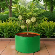 HDPE Round | Circular Grow Bag 24x15 Inch | 220GSM