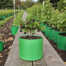 HDPE Round | Circular Grow Bag 24x18 Inch | 340GSM