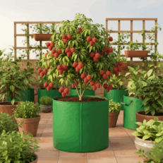 HDPE Round | Circular Grow Bag 24x24 Inch | 220GSM