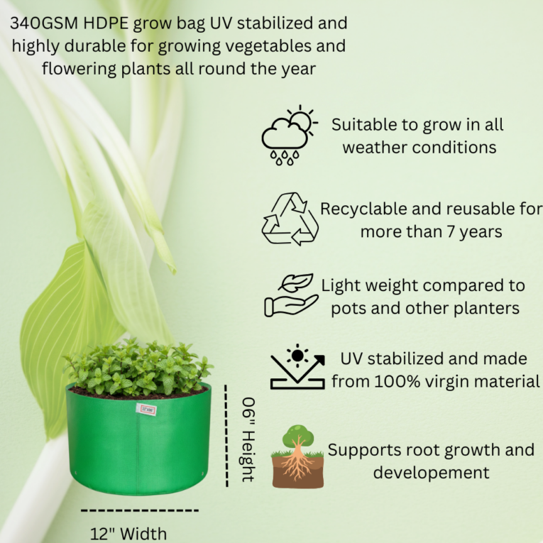 Home gardening grow bag