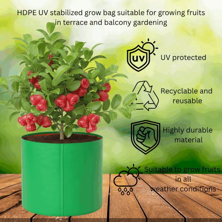 Reusable growing bags for large plants
