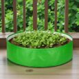 grow bag for leafy vegetables