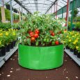heavy duty hdpe grow bags
