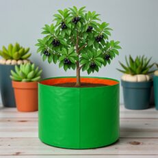 HDPE Round | Circular Grow Bag 36x18 Inch | 220GSM