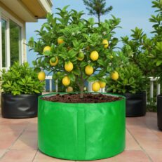 HDPE Round | Circular Grow Bag 36x18 Inch | 340GSM