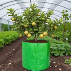 HDPE Round | Circular Grow Bag 36x24 Inch | 340GSM