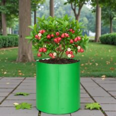 HDPE Round | Circular Grow Bag 36x36 Inch | 340GSM