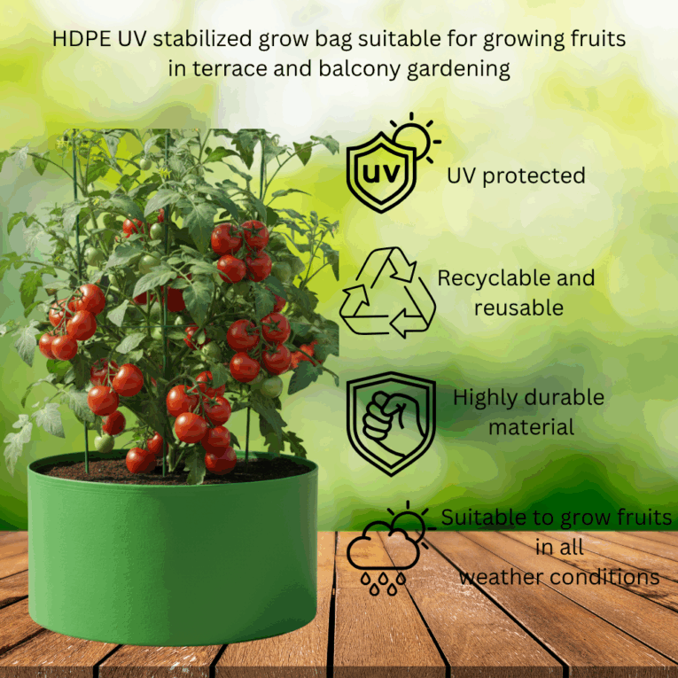 Best grow bags for tomatoes and vegetables