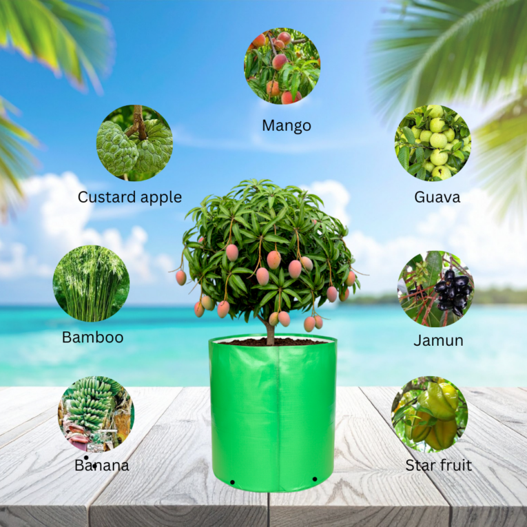 Grow bag for terrace gardening