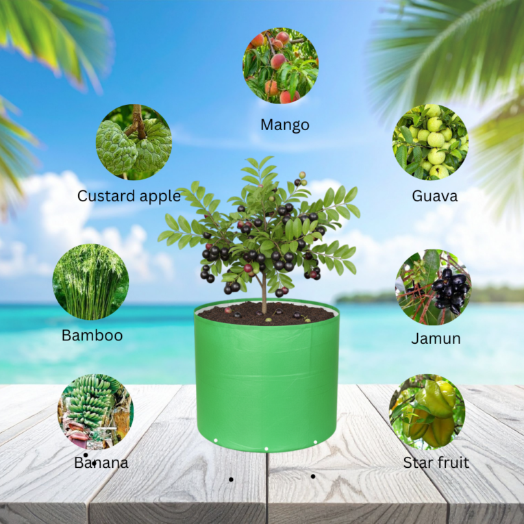 340 GSM grow bag supplier