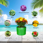 Best 340 GSM grow bag for terrace garden