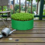 Buy 340 GSM grow bag online