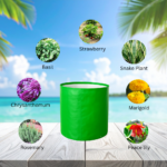 Home gardening grow bag