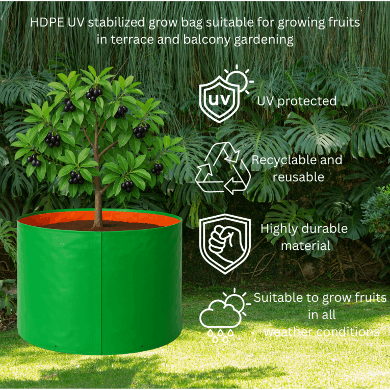 Reusable growing bags for large plants