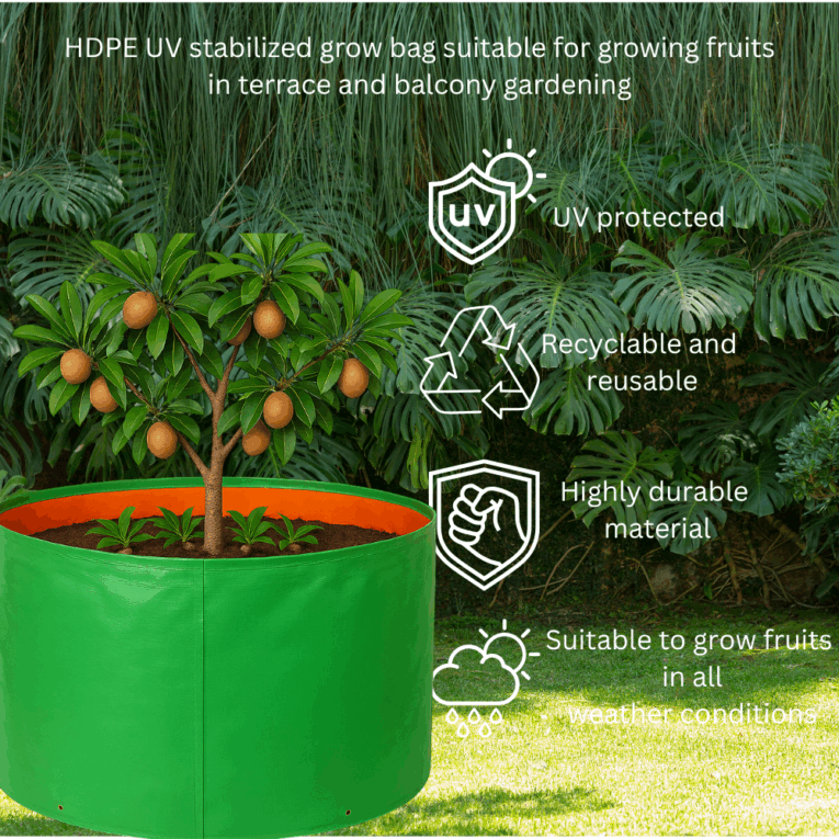 Large plant bags for urban gardening
