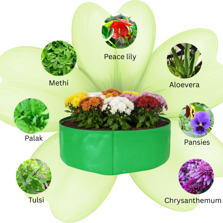 UV resistant 340 GSM grow bag for outdoor use