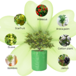 Best 340 GSM grow bag for terrace garden