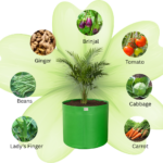 Best 340 GSM grow bag for terrace garden