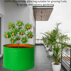 HDPE Round | Circular Grow Bag 24x18 Inch | 220GSM
