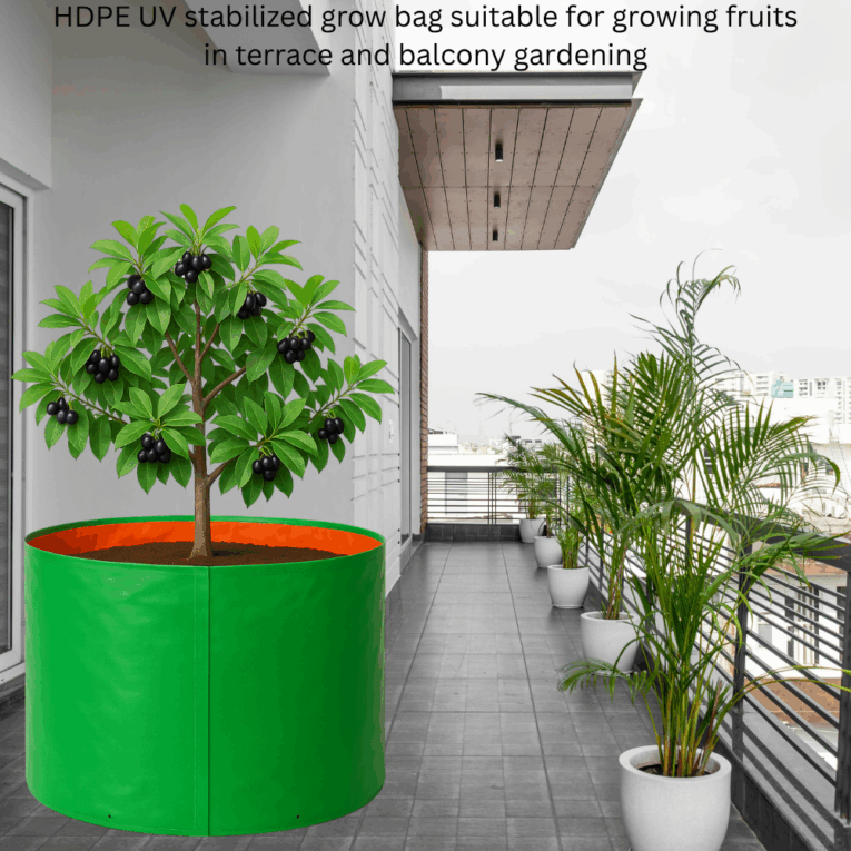 Large plant bags for urban gardening