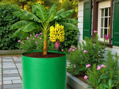 HDPE Round | Circular Grow Bag 24x30 Inch | 220GSM