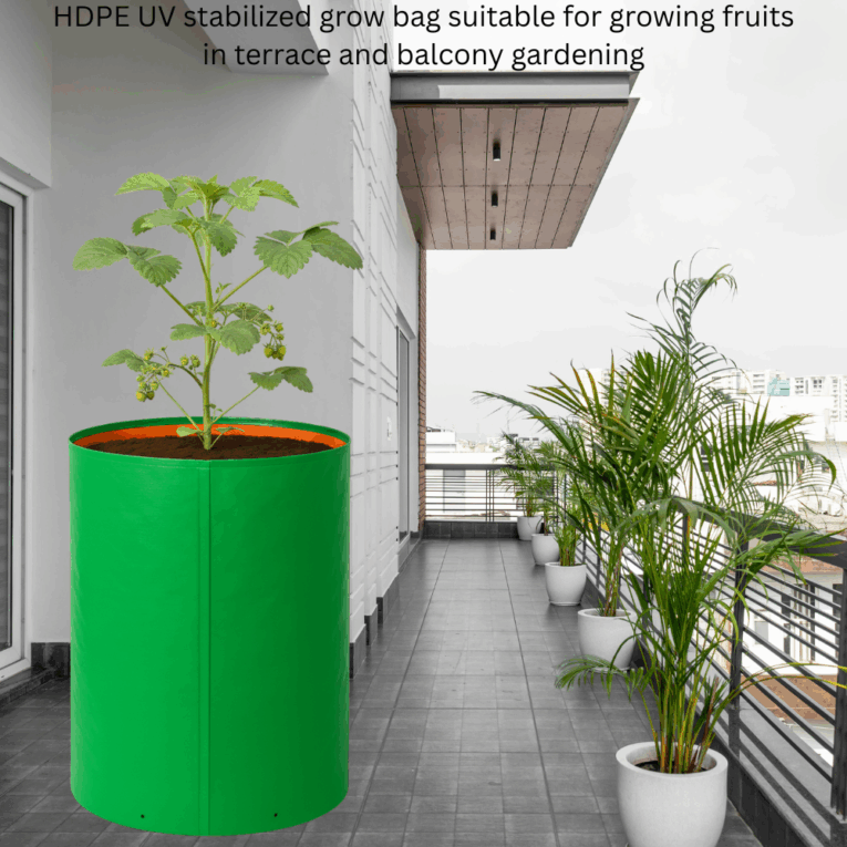 Best grow bags for vegetables