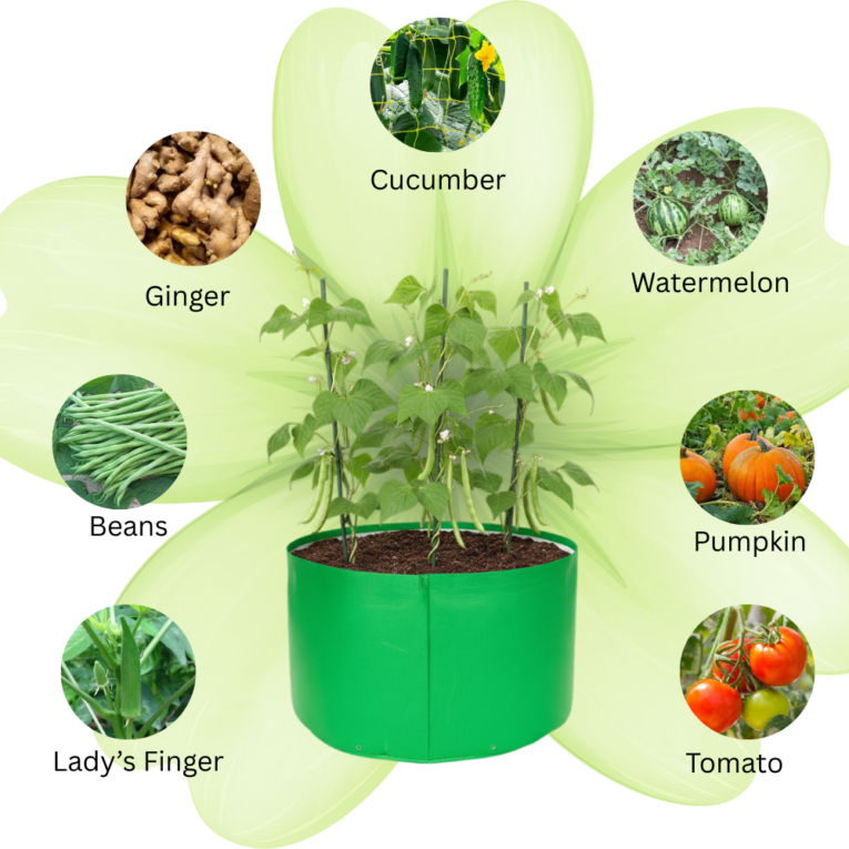 340 GSM grow bag manufacturer