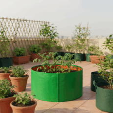 HDPE Round | Circular Grow Bag 36x12 Inch | 220GSM