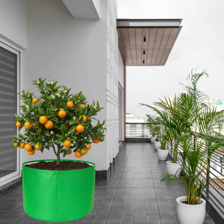 Best 340 GSM grow bag for terrace garden