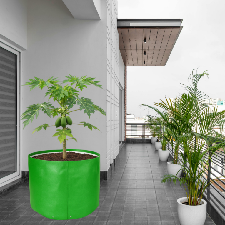 UV resistant 340 GSM grow bag for outdoor use