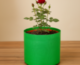 HDPE gardening grow bag