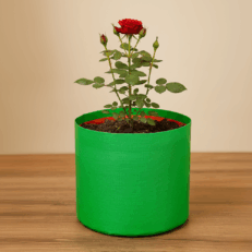 HDPE Round | Circular Grow Bag 10x10 Inch | 220GSM