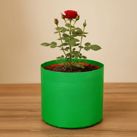 HDPE Round | Circular Grow Bag 10x10 Inch | 220GSM