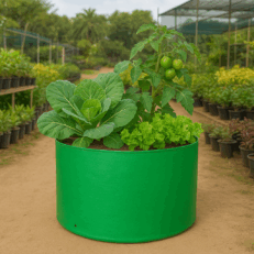 HDPE Round | Circular Grow Bag 15x12 Inch | 220GSM