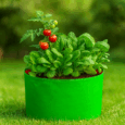 Best suited bags for terrace gardening