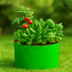 HDPE Round | Circular Grow Bag 15x09 Inch | 220GSM