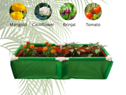 HDPE Rectangular Grow Bag 48"x12"x09" | 220GSM