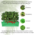 220 gsm eco friendly rectangular grow bags