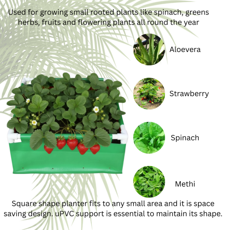 220 gsm eco friendly rectangular grow bags