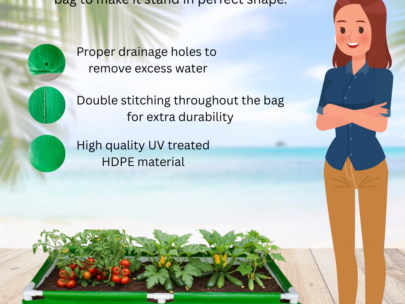 HDPE Rectangular Grow Bag 36"x24"x12" | 340GSM