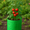 vegetable grow bag