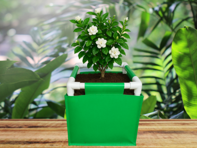 HDPE Square Grow Bag 12"x12"x12" | 220GSM