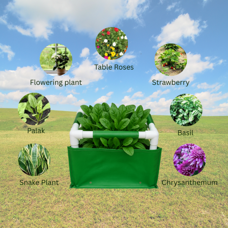 Best grow bags for terrace farming