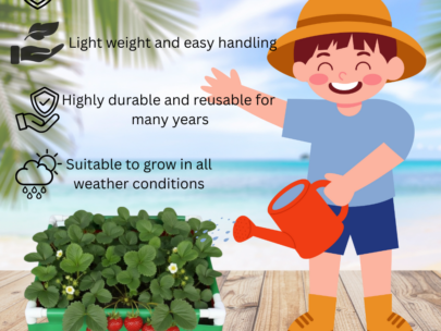 HDPE Square Grow Bag 24"x24"x04" | 220GSM