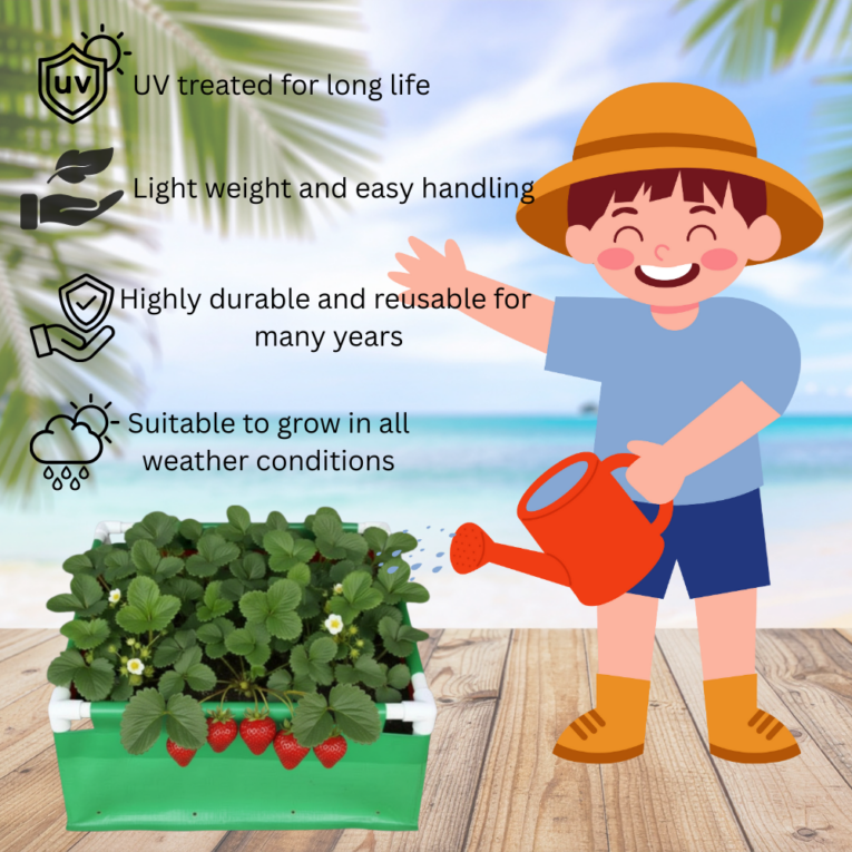 UV treated rectangular grow bags 220gsm