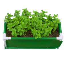 HDPE Rectangular Grow Bag 24"x12"x06" | 340GSM
