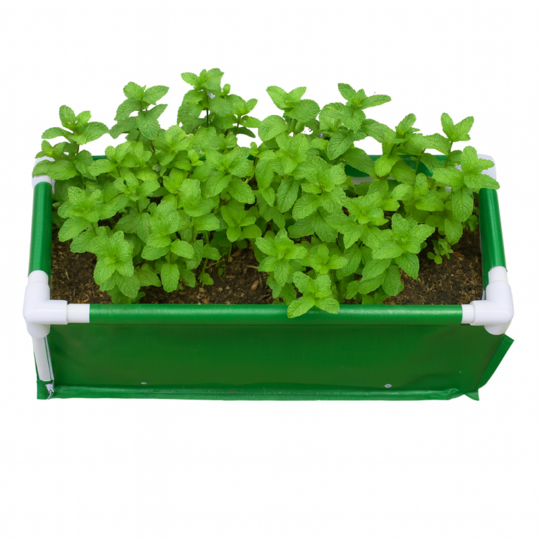 Best grow bags for terrace farming